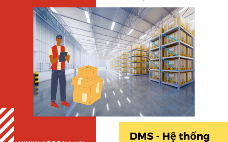 he-thong-phan-mem-dm