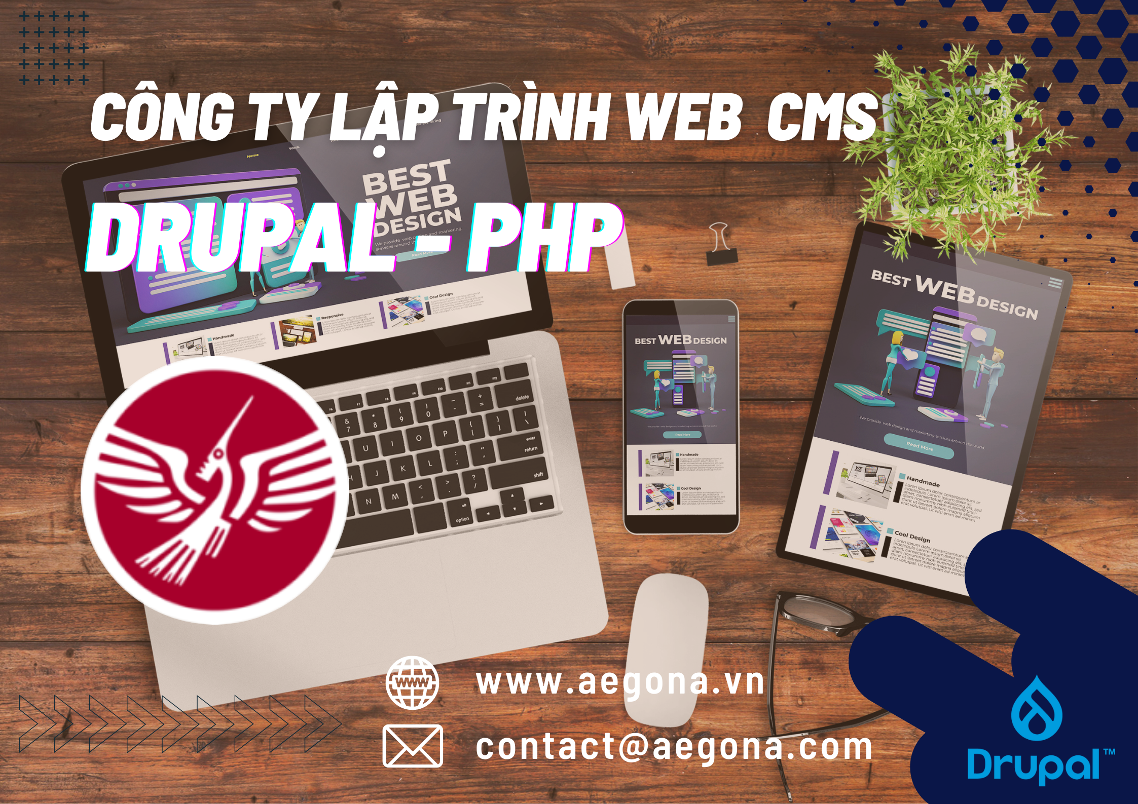 Aegona-thiet-ke-website-Drupal-PHP-CMS-1.png