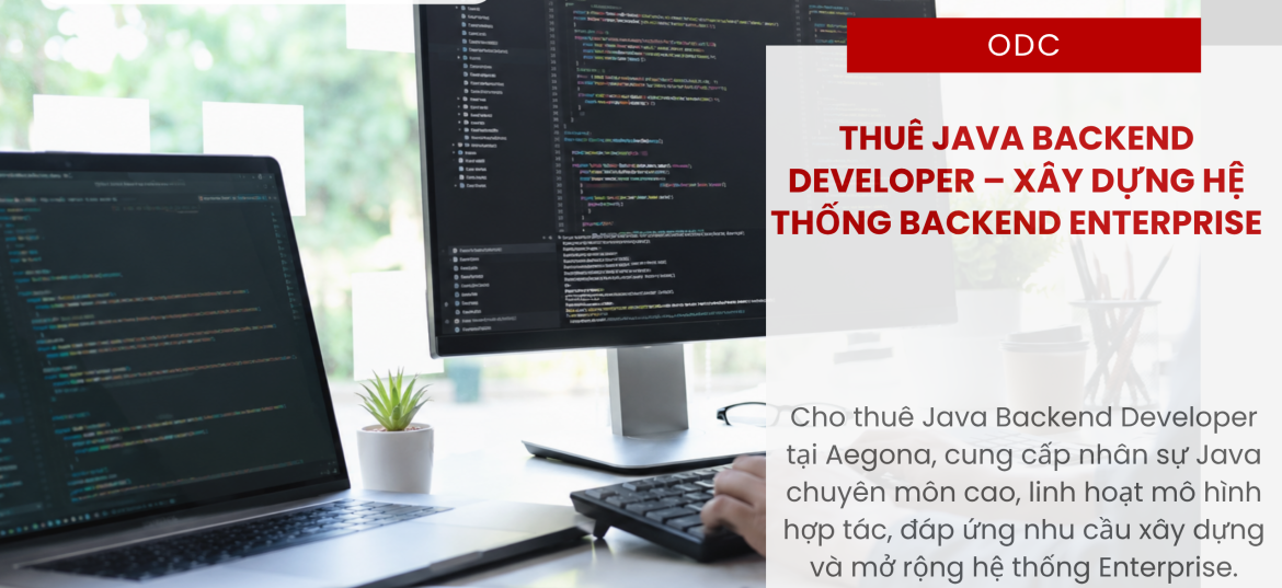 Dịch vụ Cho Thuê Java Backend Developer tại Aegona