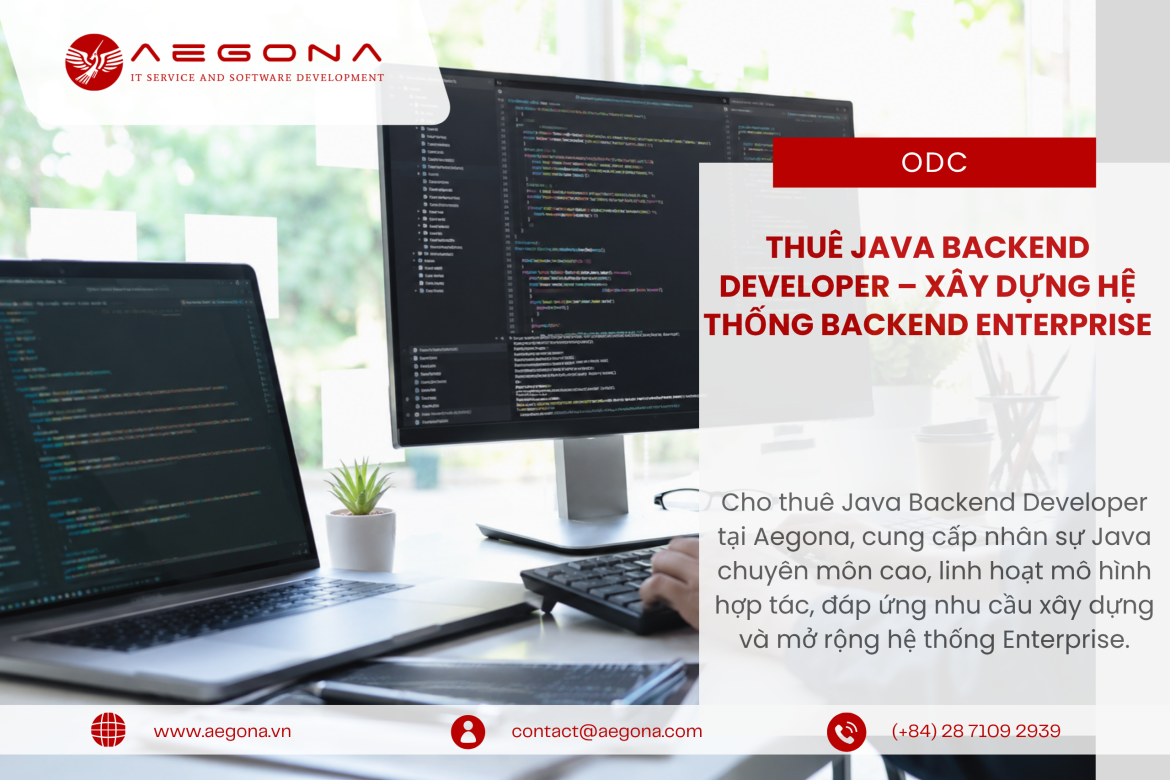 Dịch vụ Cho Thuê Java Backend Developer tại Aegona