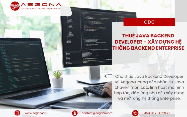 Dịch vụ Cho Thuê Java Backend Developer tại Aegona