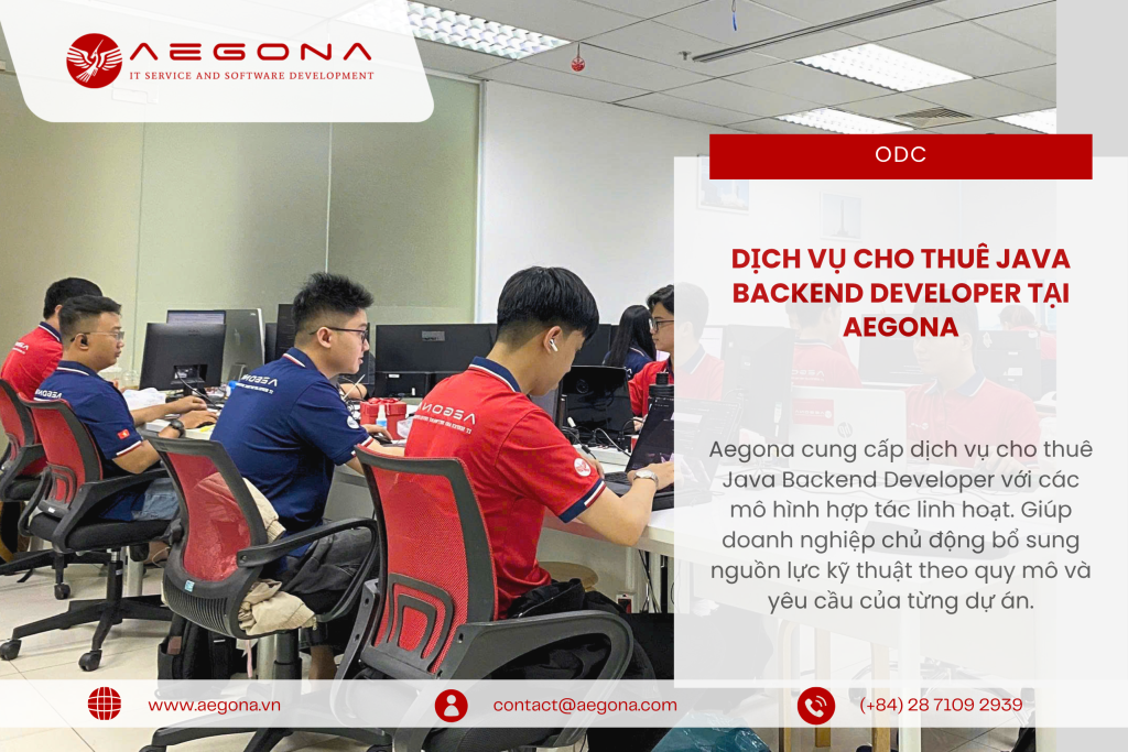 Dịch vụ Cho Thuê Java Backend Developer tại Aegona